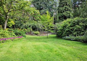 Optimiser l'expérience du jardin à Dompierre-sur-Helpe